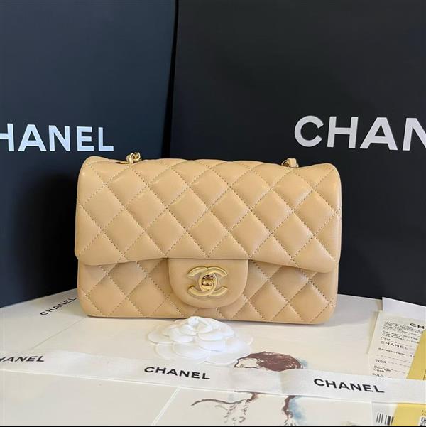 2026127205647863 380